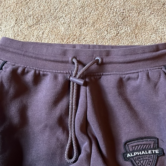 Alphalete Joggers - Picture 4 of 6